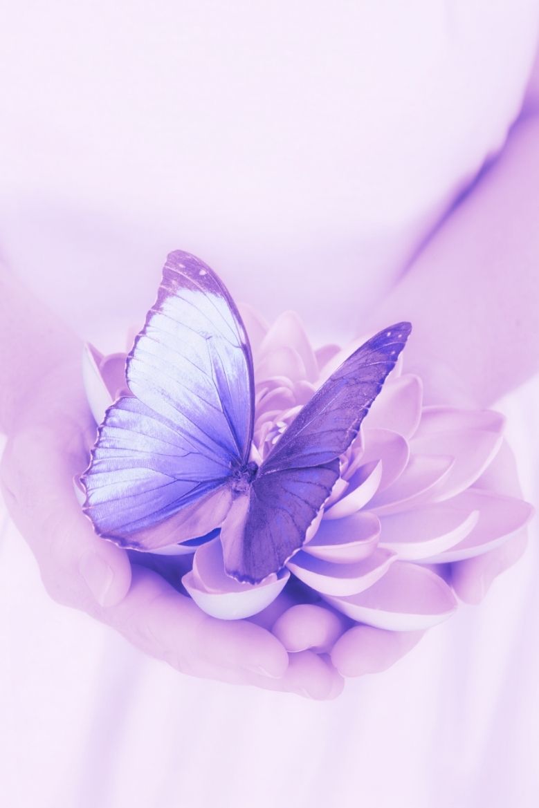 Fase 1 – Programa de Oruga a Mariposa por Fases ( Sanando desde el Núcleo al corazón)