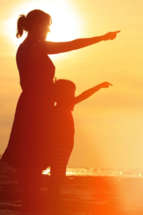 Workshop "Sé tu propia medicina, sana desde la raíz"